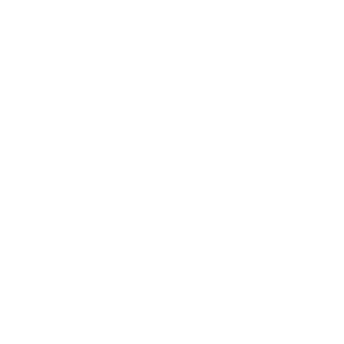 Anu.ai
